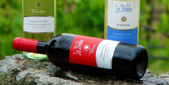 Agencia diseño web gráfica corporativa vinos etiquetas ibiza barcelona lanzarote